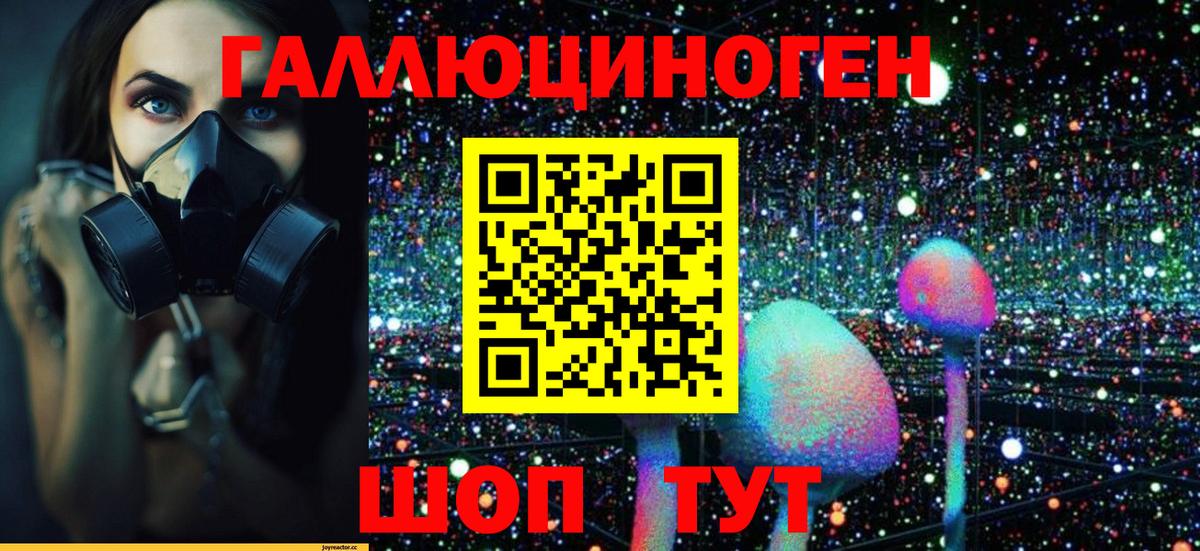 Псилоцибиновые грибы Cubensis Екатеринбург