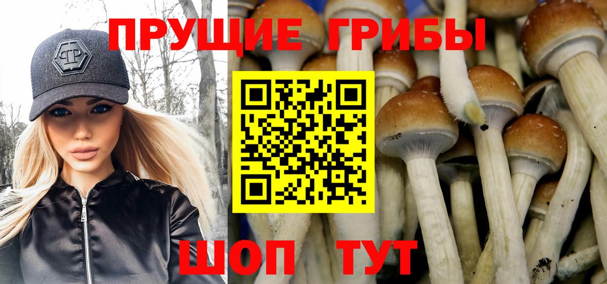 Псилоцибиновые грибы Psilocybine cubensis  Вход с VPN  Екатеринбург  Галлюциногенные грибы мухоморы 